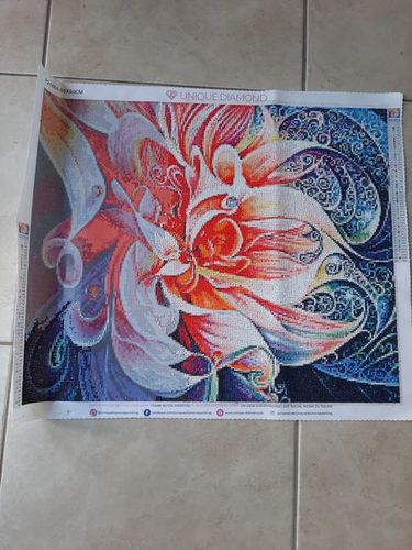 Customer photo review of 5D Diamond Painting Rosa Pfingstrose