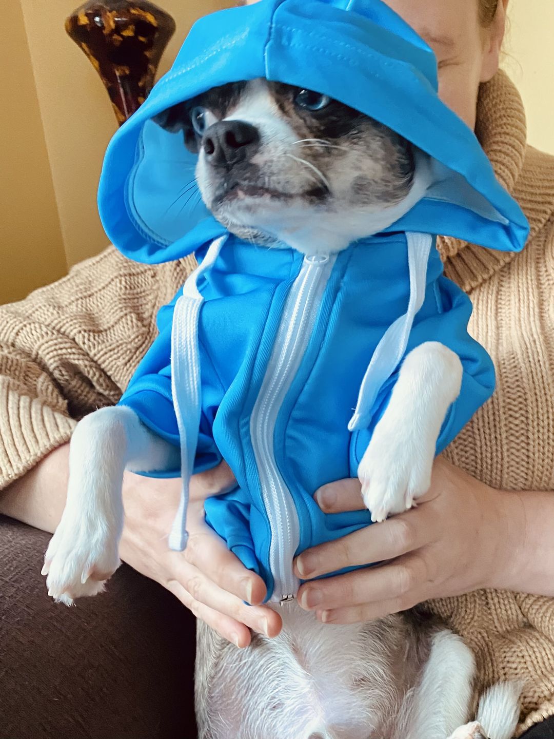 Customer photo review of Manchester City Dog Hoodie