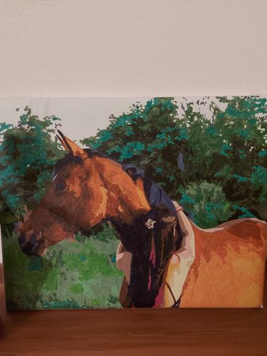 Customer photo review of Malen nach Zahlen - Dein Wunschmotiv