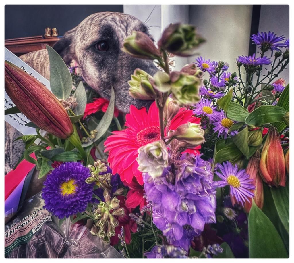 Customer photo review of Seasonal Flower Bunch