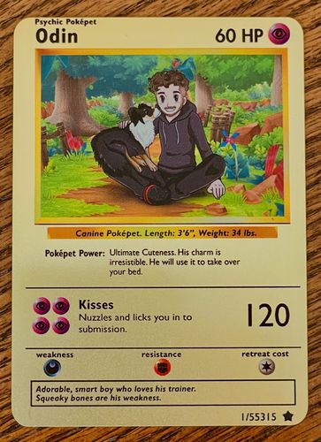 Customer photo review of Product options