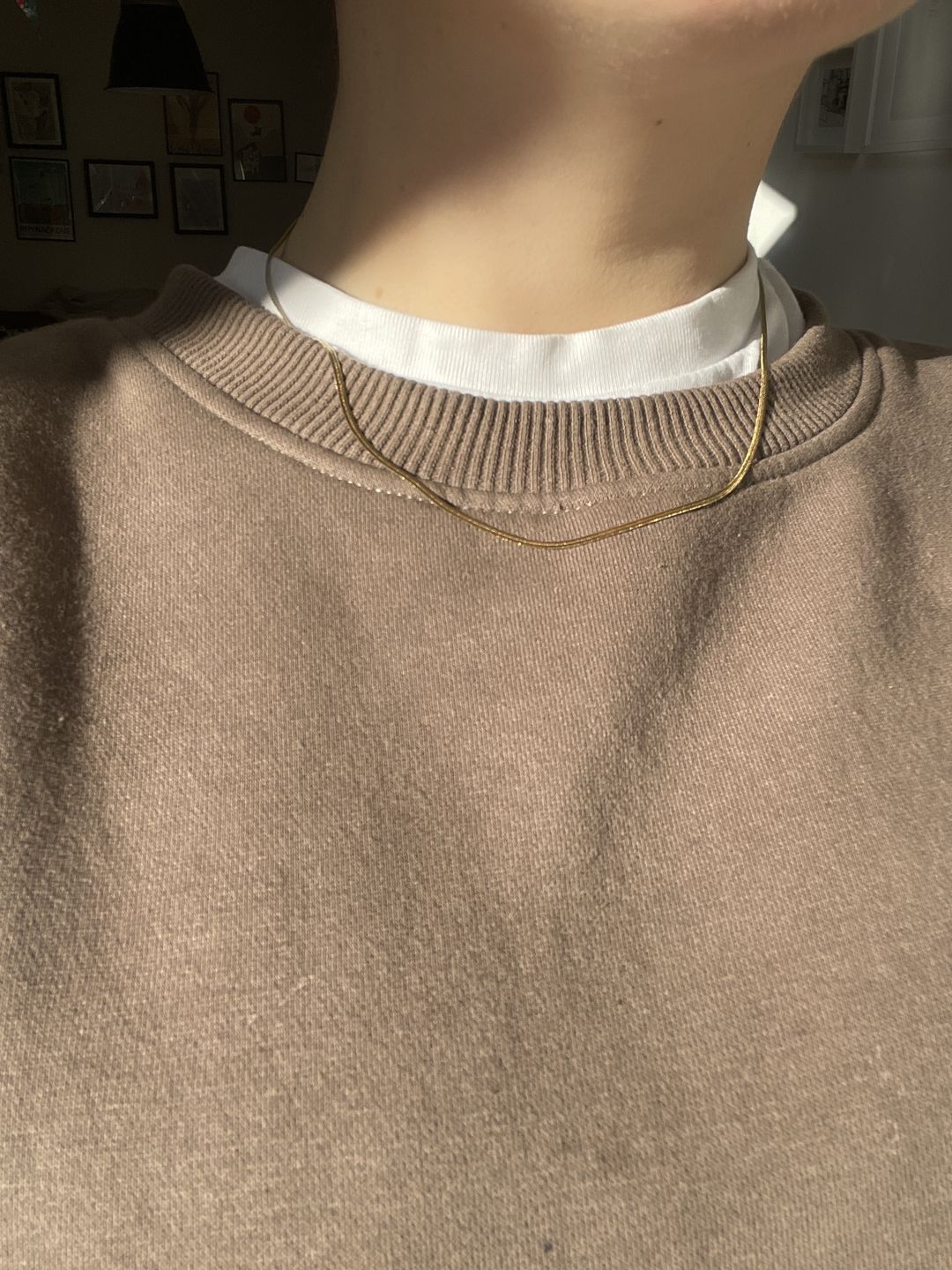 Customer photo review of Fine Essentials Necklace