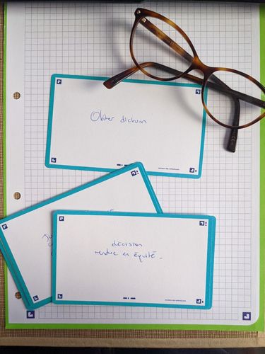Avis photo d'un client sur Flashcards FLASH 2.0 OXFORD # 80 cartes 7,5 x 12,5 cm - uni blanc