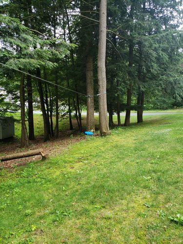 Customer photo review of Backyard Zipline Kit