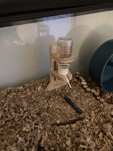 Customer photo review of Niteangel Bigger World MDF Terrarium Aspen Poplar Wooden Enclosure for Syrian and Dwarf Hamsters