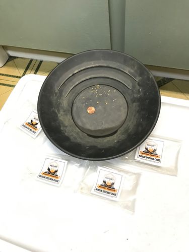 Customer photo review of Nugget Reserve 'MUSEUM SPECIMEN CHASE' - Gold Panning Paydirt Concentrate