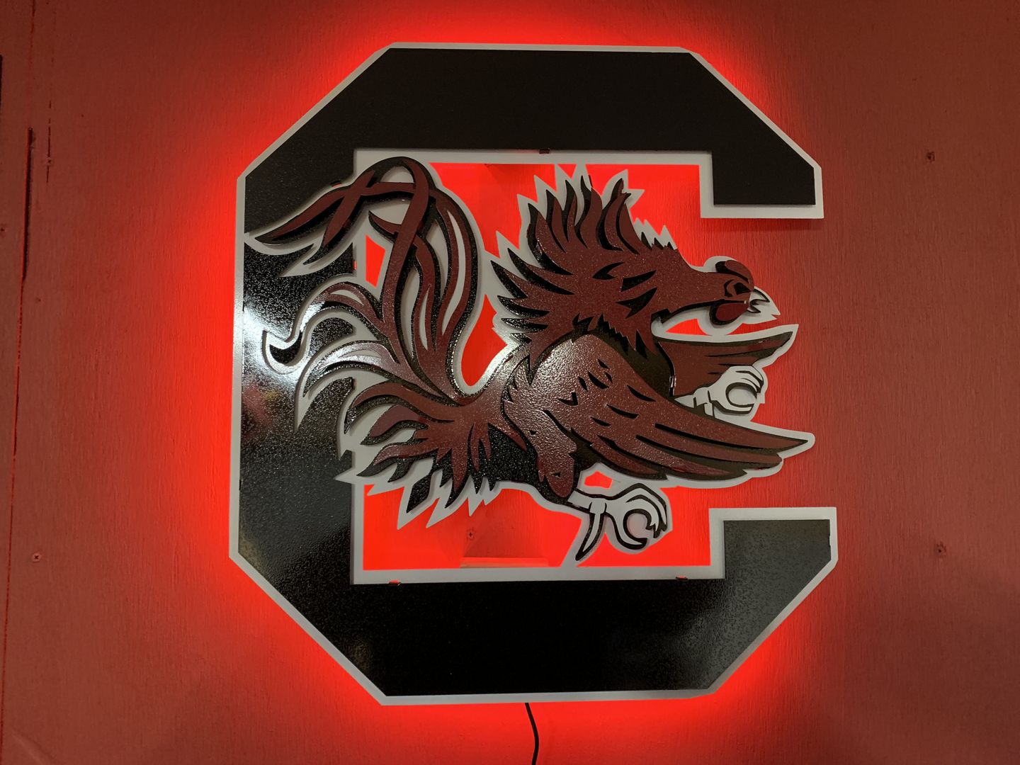 Customer photo review of South Carolina Gamecocks "Block C" 3D Vintage Metal Wall Art