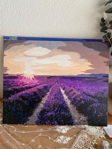 Customer photo review of Malen nach Zahlen - Lavendel Blumenfeld