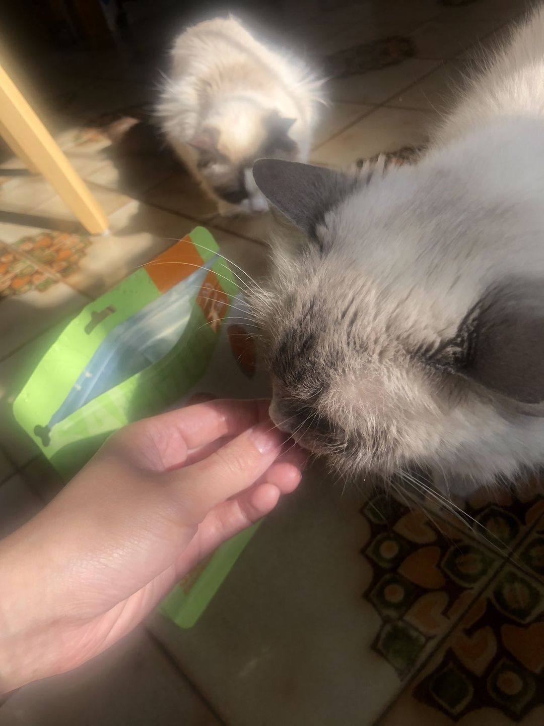 Customer photo review of Michu Freeze Dried Raw Pet Food 150g