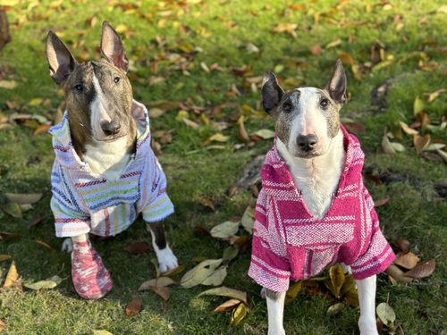 Customer photo review of Playa Poncho - Surprise Color