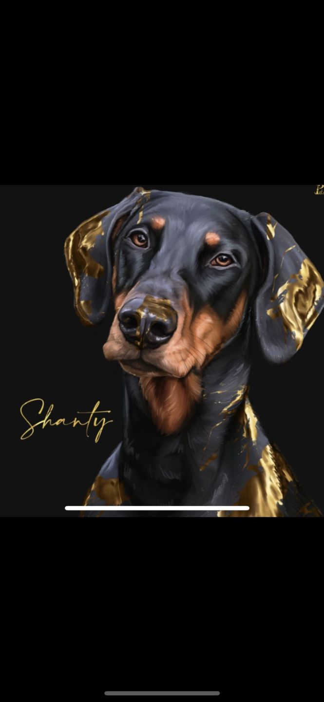 Customer photo review of Gold Stil