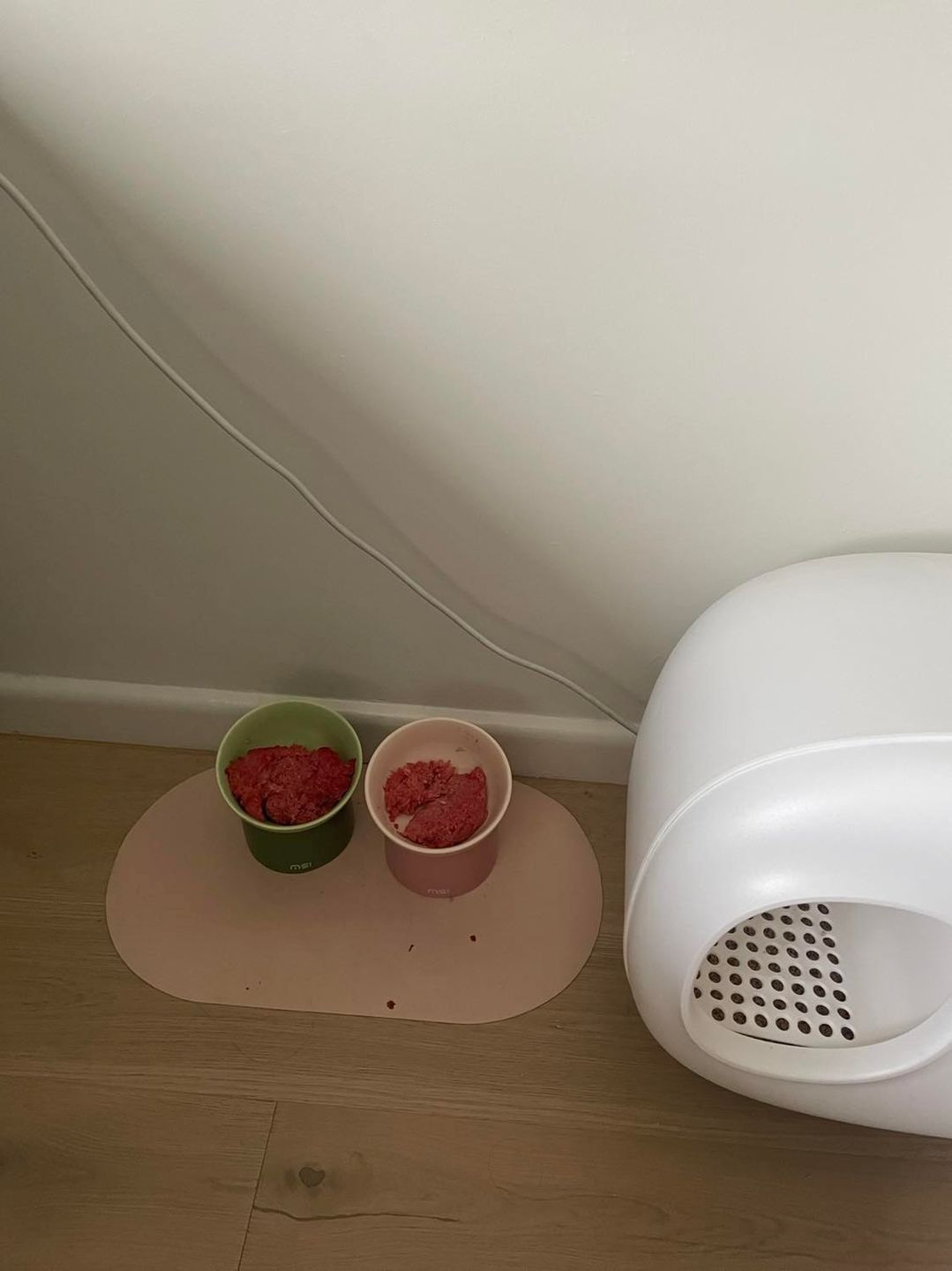 Customer photo review of Makesure Sugar Bean Ceramic Double Pet Food Bowl For Cats and Dogs