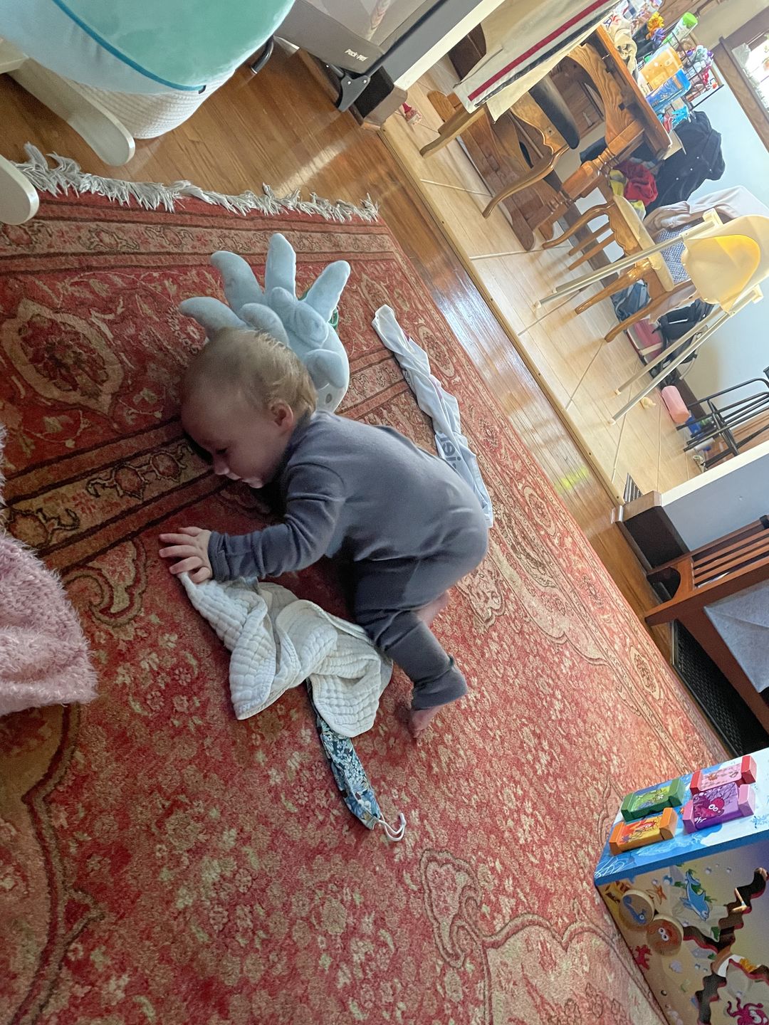 Customer photo review of baby iksplorer set