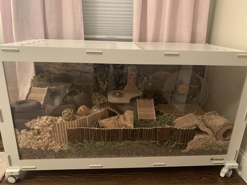 Customer photo review of Niteangel Bigger World MDF Terrarium Aspen Poplar Wooden Enclosure for Syrian and Dwarf Hamsters