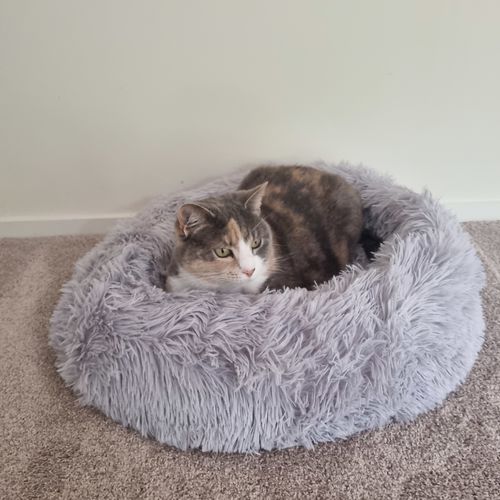 Customer photo review of Calming Doughnut Bed