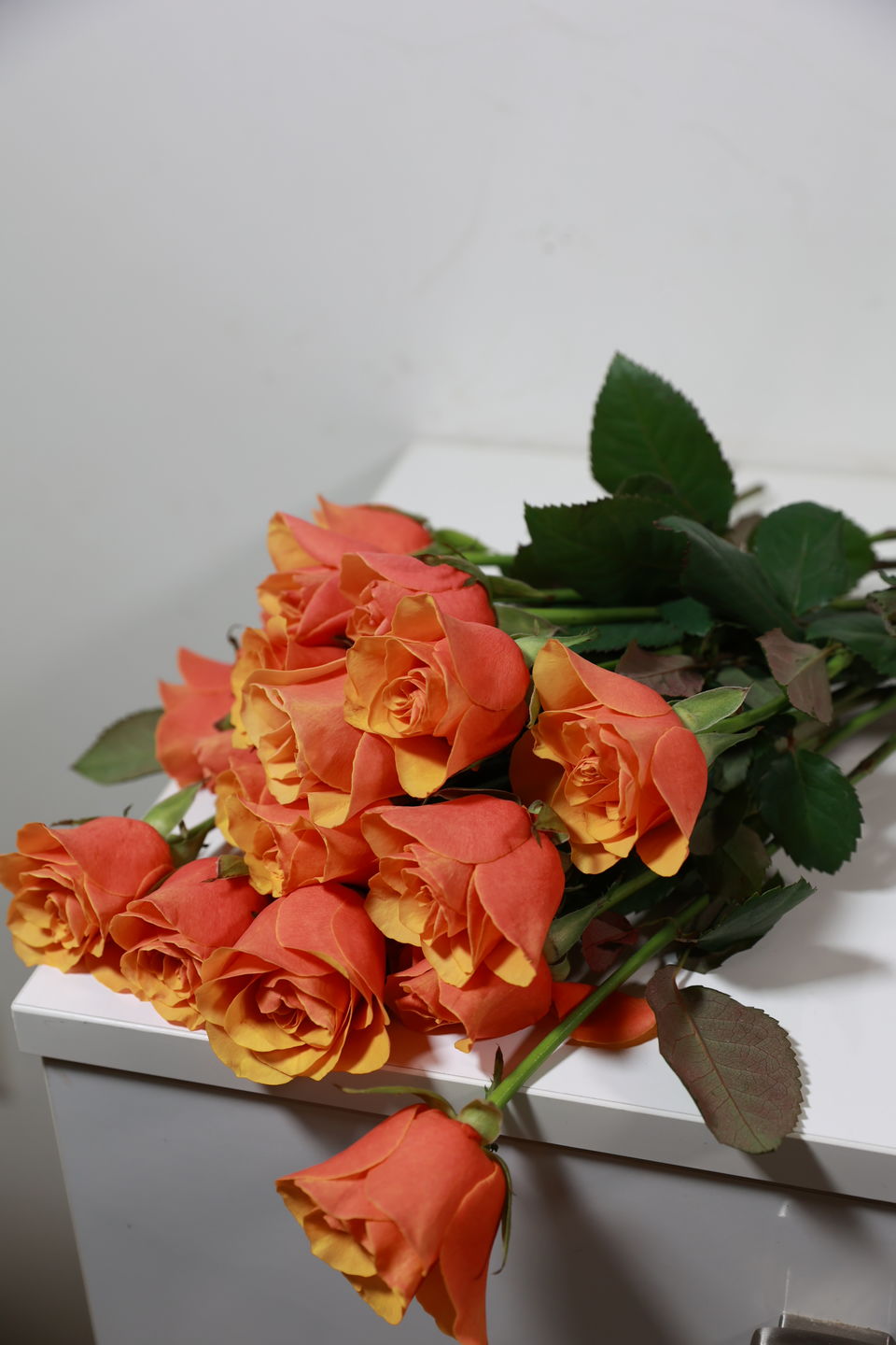 Customer photo review of Roses
