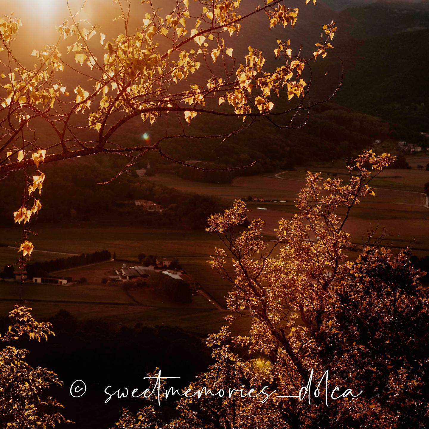 Customer photo review of Fall Vibes II Lightroom Presets