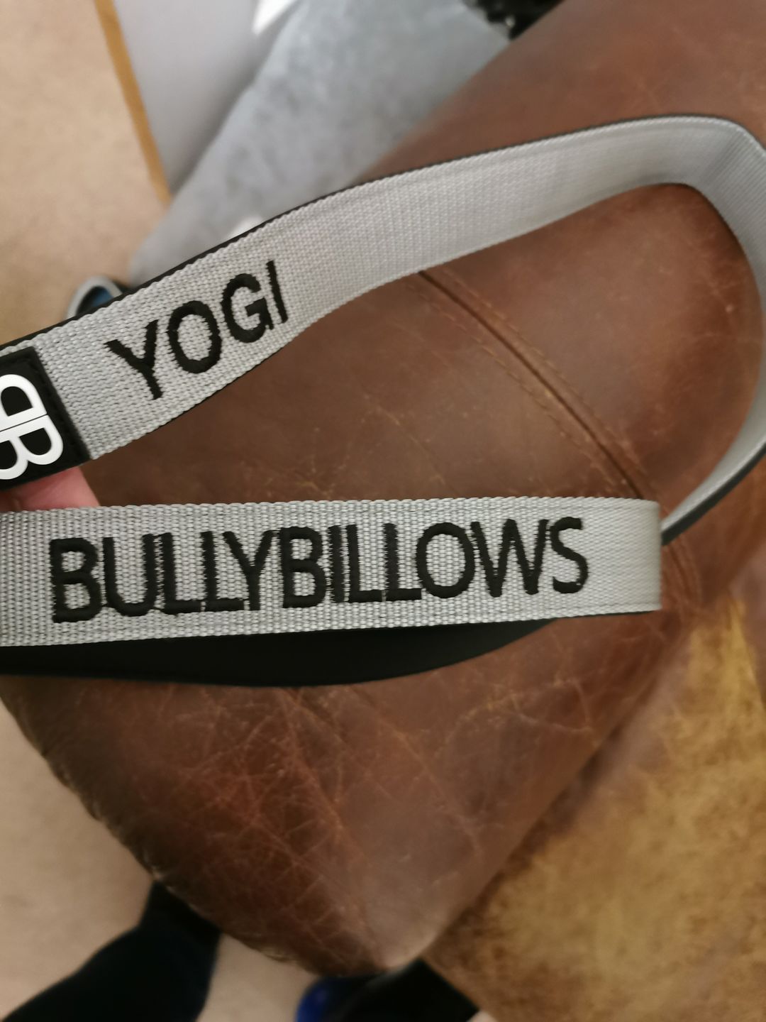 Customer photo review of 1.4m Swivel Combat Lead | Neoprene Lined, Secure Rated Clip with Soft Handle - Metal Grey