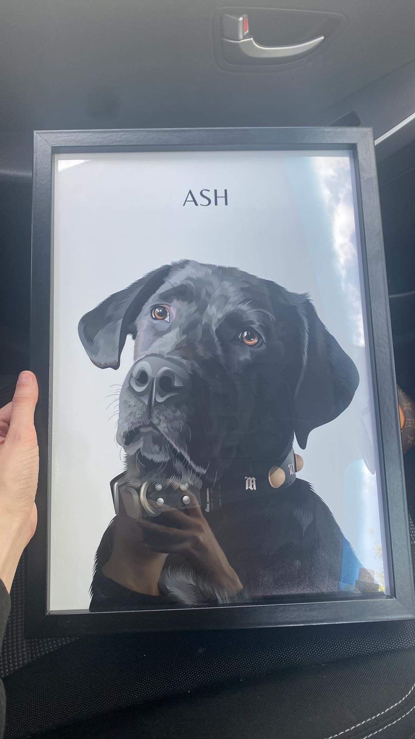 Customer photo review of Custom Pet Portrait (Digital Copy)