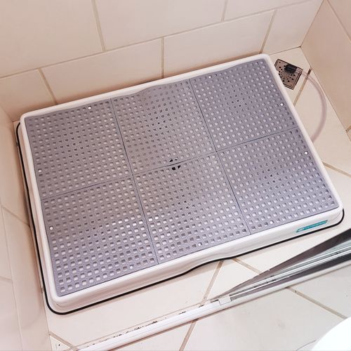 Customer photo review of Weasy Cão