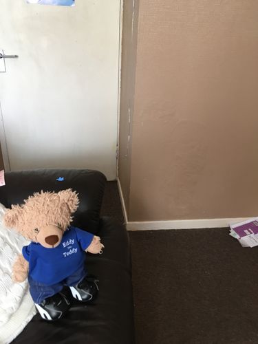 Customer photo review of Original Blue Eddy The Teddy Hoodie