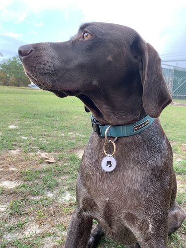 Customer photo review of White