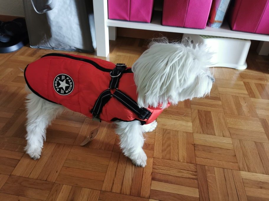 Customer photo review of Manteau pour chien réchauffant et imperméable
