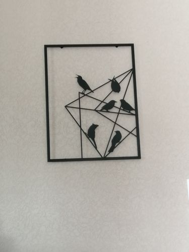 Customer photo review of Oiseaux sur fil