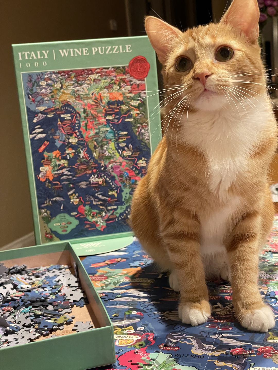 Customer photo review of Wine Puzzle - Italy