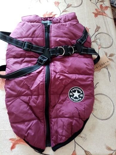 Customer photo review of Manteau pour chien réchauffant et imperméable