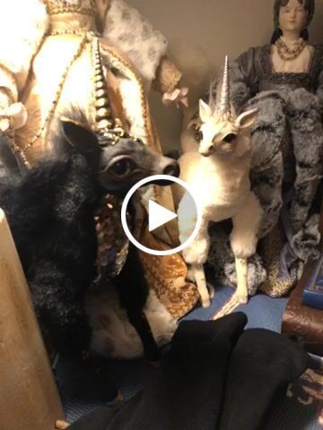 Customer video review of Customize your creature!