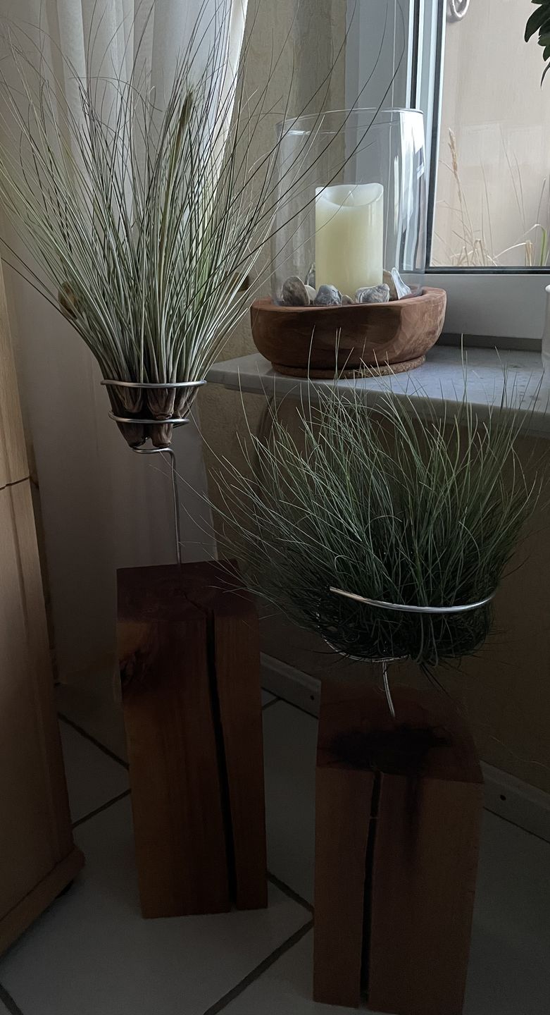 Customer photo review of Tilly Xylo - Gigant