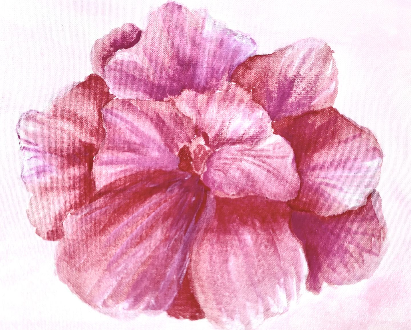 Customer photo review of Silk Paper