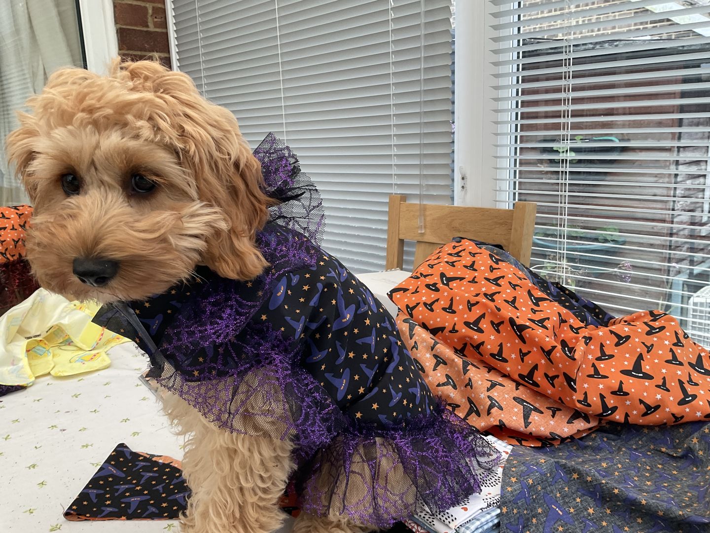 Customer photo review of Spider Web Net Fabric