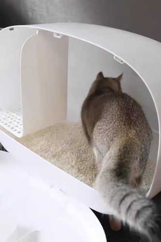 Customer photo review of Makesure Modern Cat Litter Box And Tray