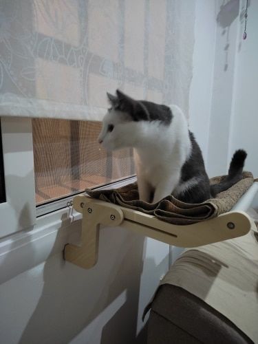 Customer photo review of Cat Hanging Bed