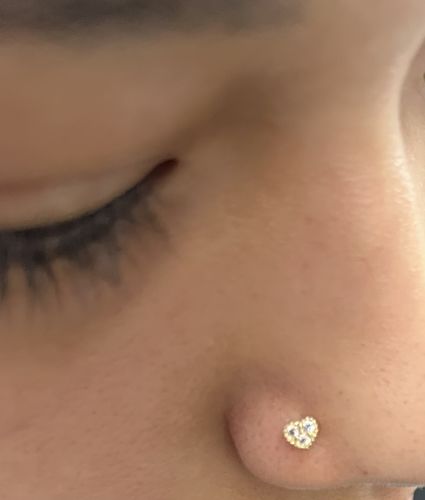 Customer photo review of Three Gem Heart L-Bend Nose Ring