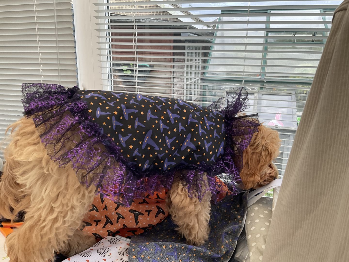 Customer photo review of Spider Web Net Fabric
