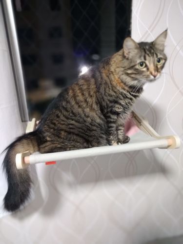 Customer photo review of Cat Hanging Bed