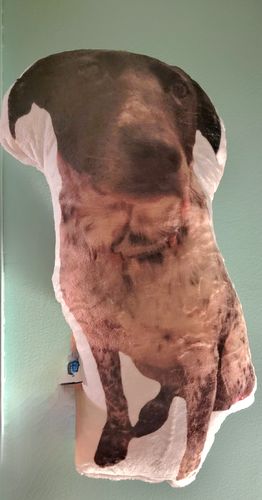 Customer photo review of Create A Custom Dog Pillow