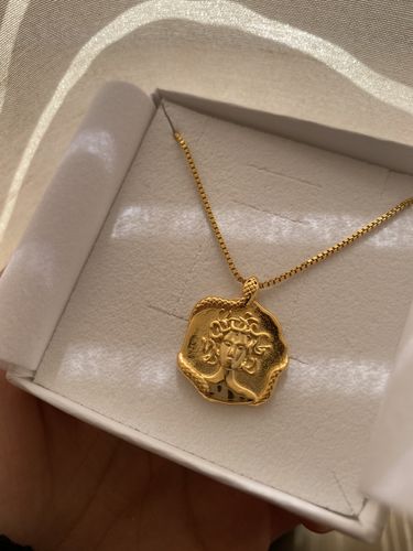 Customer photo review of Medusa Necklace (Gold)