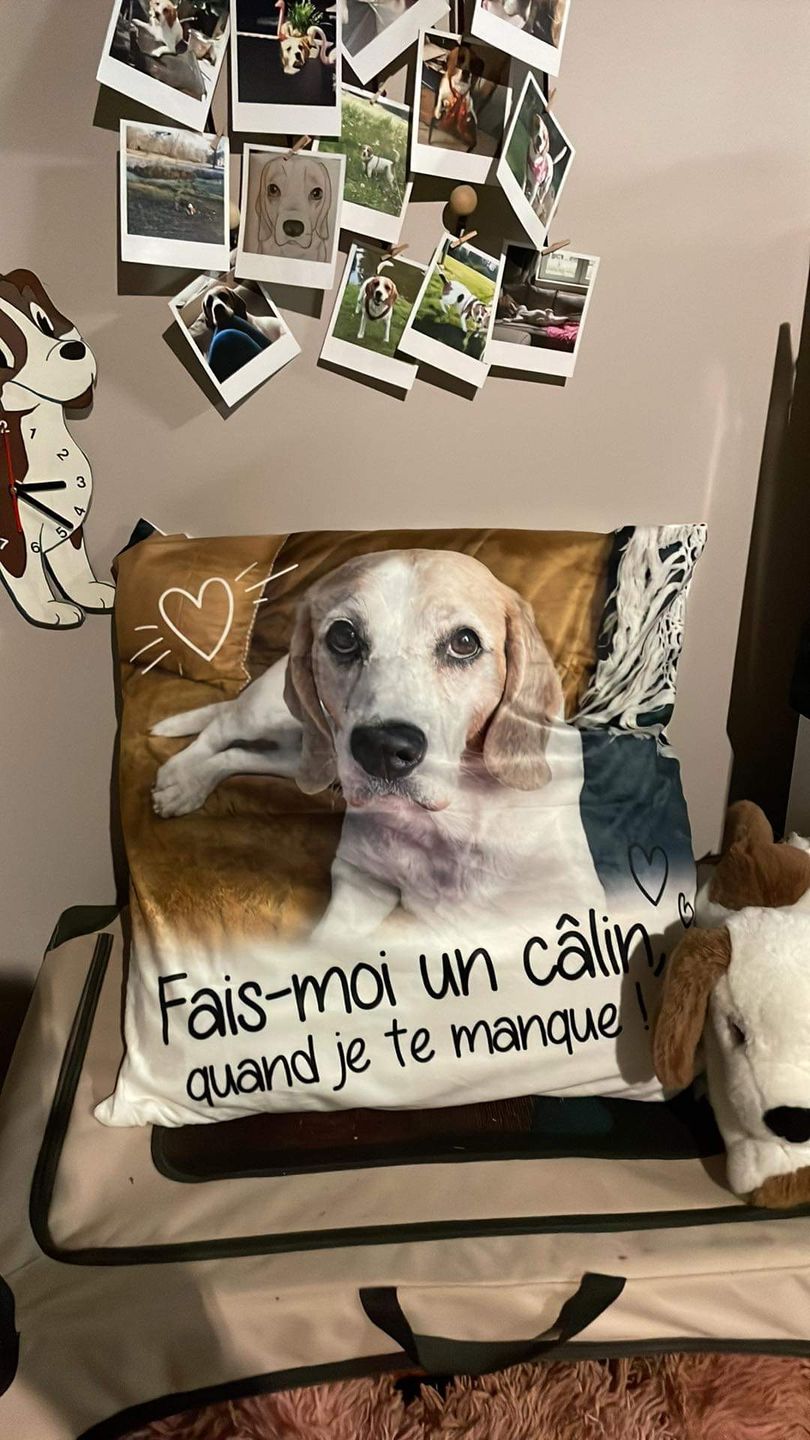 Customer photo review of Fais moi un câlin quand je te manque - Coussin personnalisé