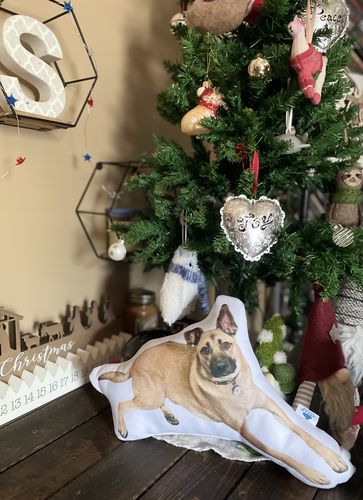 Customer photo review of Create A Custom Dog Pillow