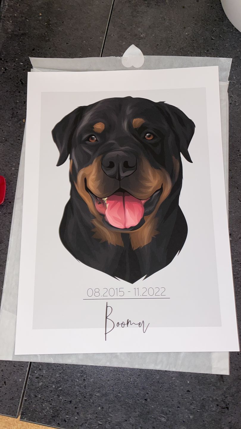 Customer photo review of Portrait deines Tieres