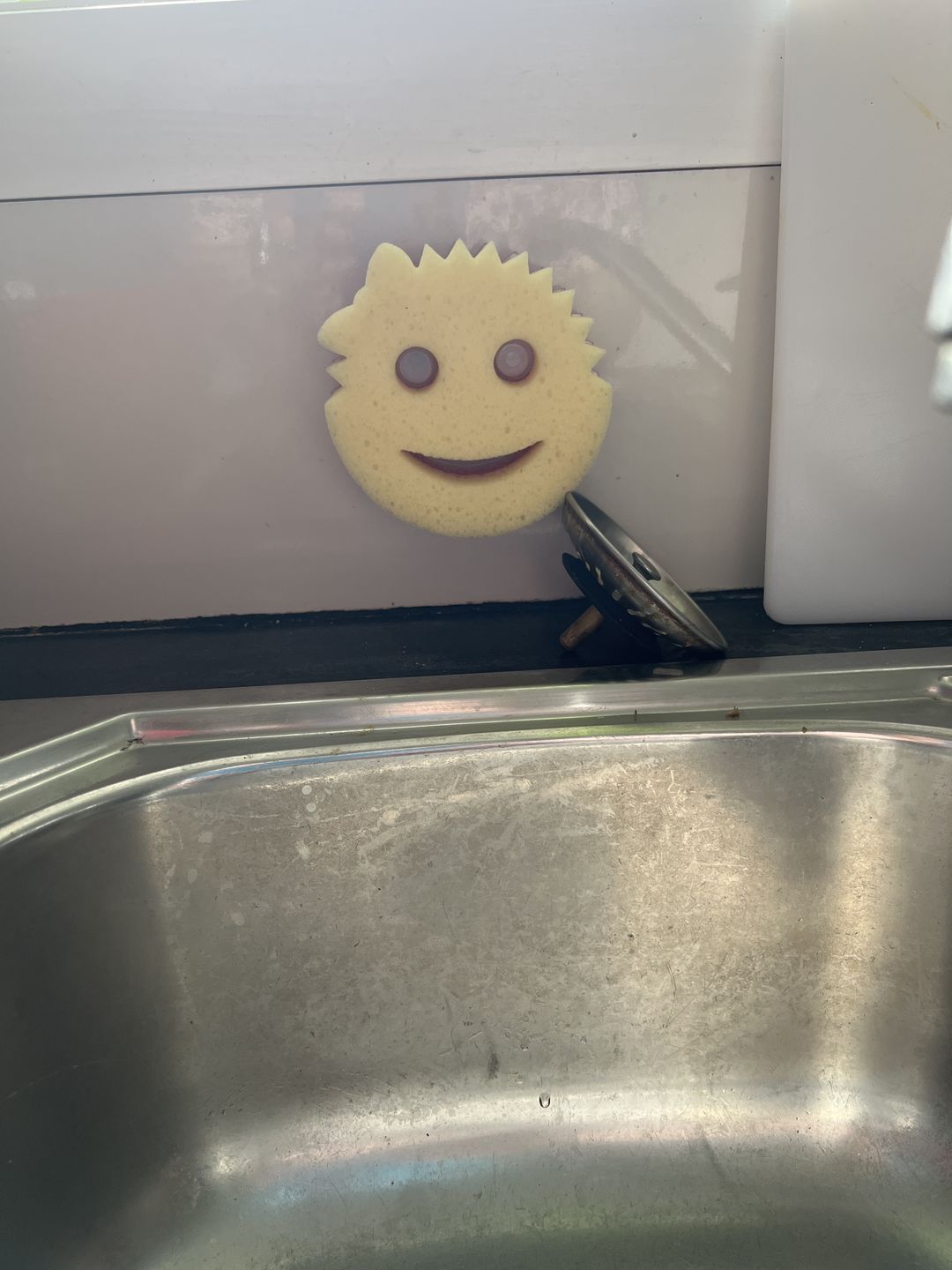 Customer photo review of Scrub Daddy Caddy