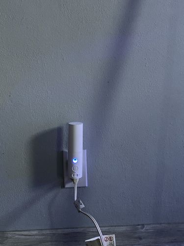 Customer photo review of The Waterless Mist Pluggy