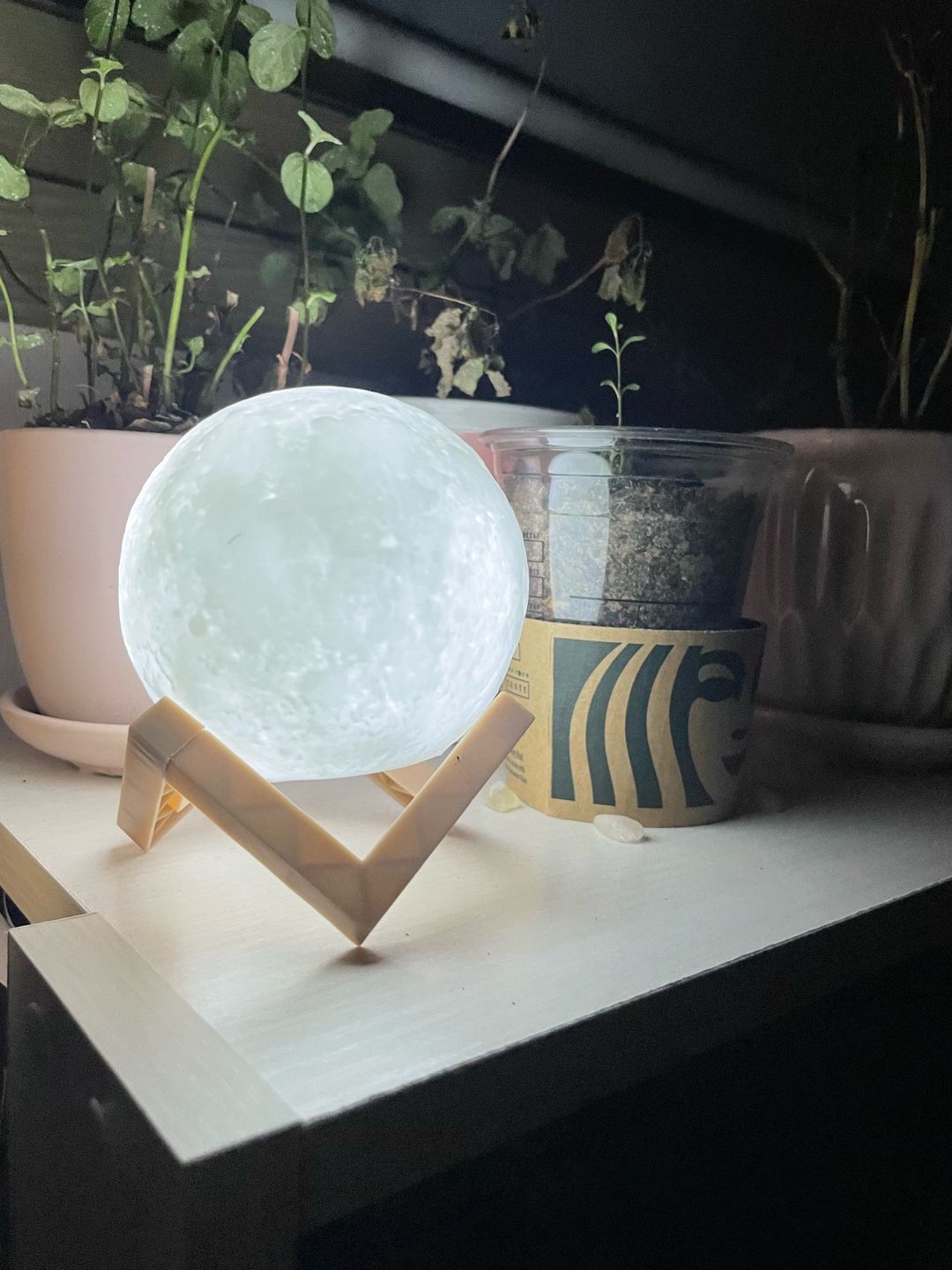 Customer photo review of Mystical Moon Lamp