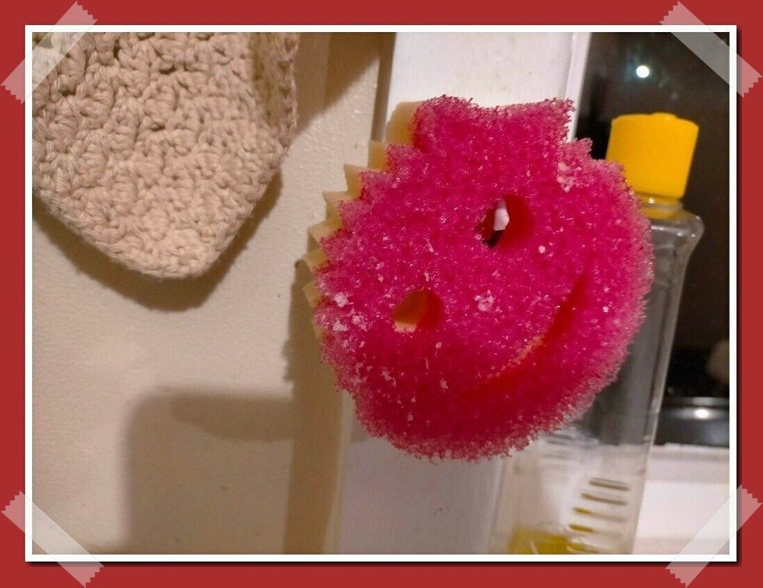 Customer photo review of Scrub Mommy