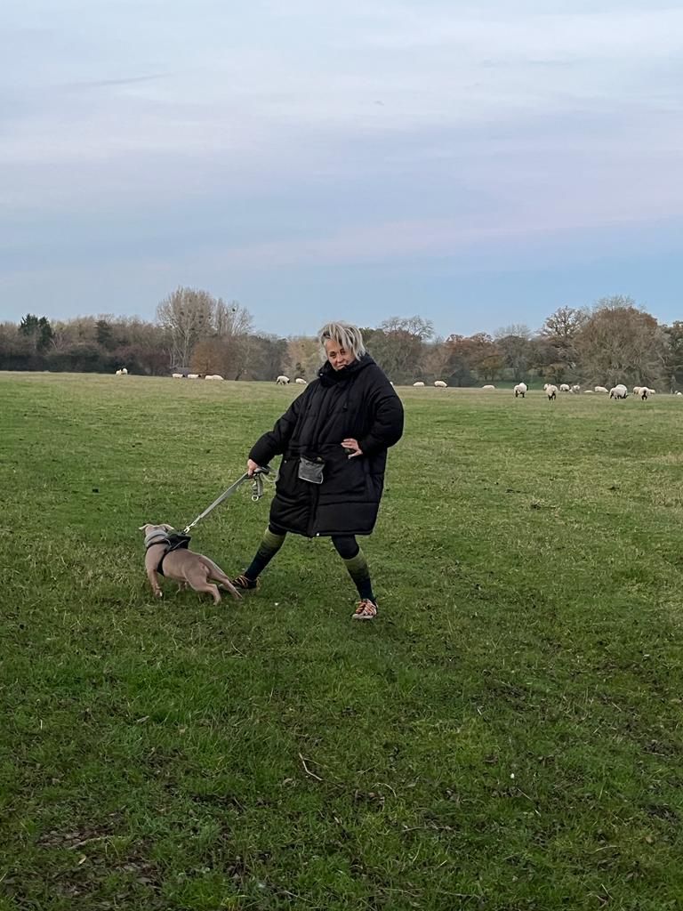 Customer photo review of Double Ended Training Lead | All Breeds - Durable & Soft 2m Lead - Metal Grey