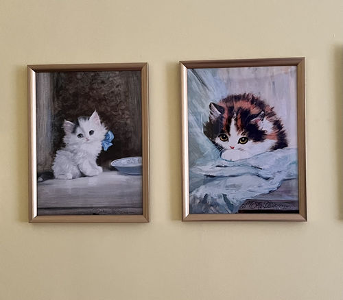Customer photo review of Kitten by Meta Plückebaum,16x12(A3) Poster